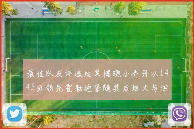 最佳队友评选结果揭晓小乔丹以1445分领先霍勒迪紧随其后姐夫与坦普尔并列第34位
